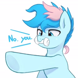 Size: 2498x2486 | Tagged: safe, artist:maren, derpibooru import, oc, oc only, oc:blue chewings, earth pony, pony, 2020, 2021, bust, dialogue, no u, old art, pointing, simple background, solo, white background