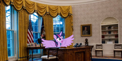 Size: 1024x512 | Tagged: safe, derpibooru import, edit, twilight sparkle, twilight sparkle (alicorn), alicorn, pony, female, irl, mare, photo, ponies in real life, solo, united states, white house