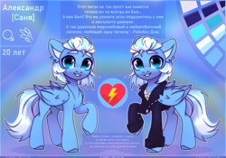 Size: 4000x2800 | Tagged: safe, artist:radioaxi, derpibooru import, oc, oc only, pegasus, pony, blue coat, blue eyes, blue wings, clothes, colored, cyrillic, high res, hooves, looking at you, male, raised hoof, raised leg, reference sheet, russian, slim, solo, standing, wings