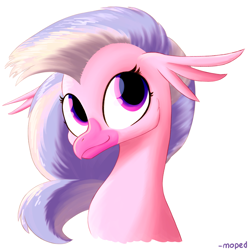 Size: 6371x6429 | Tagged: safe, artist:moped_cirrus, derpibooru import, silverstream, hippogriff, bust, cute, diastreamies, female, looking up, portrait, simple background, smiling, white background