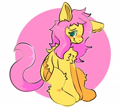 Size: 2048x1811 | Tagged: safe, artist:spookyfoxinc, derpibooru import, fluttershy, pegasus, chest fluff, cute, embarrassed, fluffy, folded wings, shy, wings