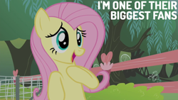 Size: 1920x1080 | Tagged: safe, derpibooru import, edit, edited screencap, editor:quoterific, screencap, fluttershy, filli vanilli, cute, shyabetes, solo