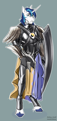 Size: 1416x3000 | Tagged: safe, artist:leonerdman, derpibooru import, shining armor, anthro, unguligrade anthro, armor, cape, chestplate, clothes, helmet, shield, solo