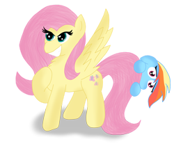 Size: 1280x1058 | Tagged: safe, artist:zeccy-zebra, derpibooru import, fluttershy, rainbow dash, pegasus, pony, duo, female, grin, hiding, mare, personality swap, ponytober, shy, simple background, smiling, transparent background