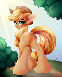 Size: 3221x4000 | Tagged: safe, artist:shinoshai, derpibooru import, applejack, earth pony, pony, g4, applebutt, butt, plot, solo