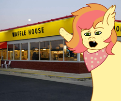 Size: 1011x847 | Tagged: safe, artist:trooper3, derpibooru import, oc, oc only, oc:pancake bat, bat pony, bat pony oc, clothes, female, freckles, irl, mare, meme, photo, pointing, scarf, soyjak, waffle house, wojak