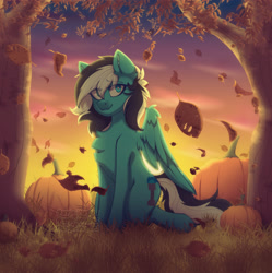 Size: 3219x3233 | Tagged: safe, artist:angie imagines, derpibooru import, oc, oc only, oc:euro, pegasus, pony, autumn, chest fluff, commission, ear fluff, ears, falling leaves, female, grass, heterochromia, leaves, pegasus oc, pumpkin, solo, sunset, tree, wings