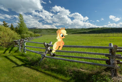 Size: 2048x1365 | Tagged: safe, artist:jaredking779, artist:sunran80, derpibooru import, applejack, earth pony, pony, applejack's hat, clothes, cowboy hat, female, fence, hat, irl, mare, photo, ponies in real life, scenery, sitting, solo, stetson, wyoming