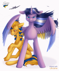 Size: 1920x2322 | Tagged: safe, artist:hajster, derpibooru import, oc, oc only, oc:ukraine, alicorn, pegasus, pony, blurr, braid, braided ponytail, commission, current events, defending, fighter, injured, nation ponies, ponified, sitting, spread wings, standing, ukraine, wings, ych result
