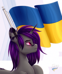 Size: 1920x2286 | Tagged: safe, artist:hajster, derpibooru import, oc, oc only, pony, unicorn, coat markings, flag, profile, solo, ukraine