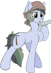 Size: 3417x4871 | Tagged: safe, artist:aquamuro, derpibooru import, oc, oc only, oc:dusty soil, earth pony, pony, cute, ear fluff, ears, earth pony oc, female, fluffy, mare, oda 997, paper, raised hoof, raised leg, reading, simple background, sketch, solo, transparent background