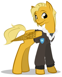 Size: 567x701 | Tagged: safe, artist:askmerriweatherauthor, derpibooru import, oc, oc only, oc:meadow lark (ask merriweather), pegasus, pony, bomber jacket, clothes, jacket, older, simple background, solo, white background