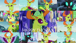 Size: 1191x671 | Tagged: safe, derpibooru import, edit, edited screencap, editor:quoterific, screencap, daisy, flower wishes, meadow song, thorax, changedling, changeling, pony, celestial advice, season 6, season 7, the times they are a changeling, to change a changeling, to where and back again, triple threat, background pony, cute, female, grin, happy, king thorax, male, mare, smiling, stallion, thorabetes