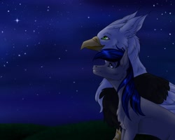 Size: 1280x1024 | Tagged: safe, artist:clouris, derpibooru import, oc, oc only, earth pony, griffon, pony, chest fluff, duo, earth pony oc, griffon oc, night, outdoors, smiling, stars