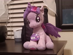 Size: 4608x3456 | Tagged: safe, derpibooru import, twilight sparkle, twilight sparkle (alicorn), alicorn, irl, photo, plushie, solo