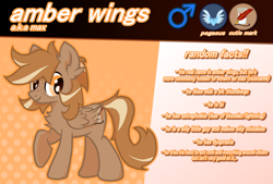 Size: 640x432 | Tagged: safe, artist:foxtrnal, derpibooru import, oc, oc only, oc:amber wings, oc:max, pegasus, abstract background, astraphobia, cutie mark, dyspraxia, fluffy, freckles, male, pegasopolis, pegasus oc, pegasus tribe, reddit, reference sheet, solo, stallion