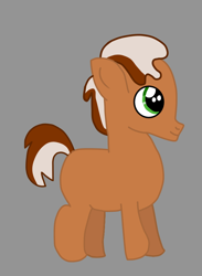 Size: 662x902 | Tagged: safe, derpibooru import, oc, oc only, oc:cinnamon applecake, earth pony, pony, blank flank, colt, foal, male, solo