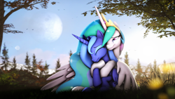 Size: 7680x4320 | Tagged: safe, artist:lagmanor, derpibooru import, princess celestia, princess luna, alicorn, pony, 3d, absurd file size, absurd resolution, crown, crying, eyes closed, female, flower, forest, forest background, grass, horn, hug, hug from behind, jewelry, looking at each other, looking at someone, magic, magic horn, moon, not shipping, regalia, reunion, royal sisters, siblings, sisters, sitting, smiling, source filmmaker, sunlight, tears of joy, teary eyes, tree, tree branch