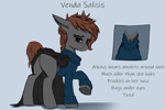 Size: 2515x1681 | Tagged: safe, artist:syntiset, oc, oc:venda salisis, earth pony, pony, amulet, bags under eyes, brown mane, clothes, coat, colored sketch, female, freckles, gray coat, green eyes, jewelry, mare, reference sheet, simple background, sketch, solo, sweater, tired