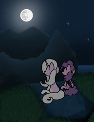 Size: 2550x3300 | Tagged: safe, artist:bloodysticktape, derpibooru import, oc, oc:beetard, oc:floports, moon