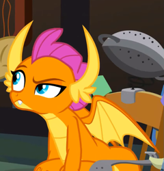 Size: 699x728 | Tagged: safe, derpibooru import, screencap, smolder, dragon, a horse shoe-in, cropped, dragoness, female, raised eyebrow, solo