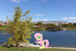 Size: 2048x1365 | Tagged: safe, artist:cloudyglow, artist:jaredking779, derpibooru import, fluttershy, pegasus, pony, autumn, boise, clothes, earmuffs, female, idaho, irl, mare, photo, ponies in real life, raised hoof, raised leg, smiling, solo, sweater, tree, winter outfit