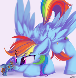 Size: 10681x11028 | Tagged: safe, artist:sketchiix3, derpibooru import, rainbow dash, oc, pegasus, pony, absurd file size, absurd resolution, boop, micro, tiny, tiny ponies