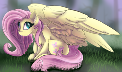 Size: 2700x1600 | Tagged: safe, artist:starcasteclipse, derpibooru import, fluttershy, pegasus, pony, aside glance, cheek fluff, ear fluff, ears, female, grass, high res, large wings, looking at you, mare, open mouth, outdoors, sitting, sketch, solo, spread wings, wings