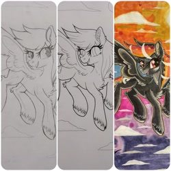 Size: 4096x4096 | Tagged: safe, artist:annuthecatgirl, derpibooru import, oc, oc only, oc:anti-lag, pegasus, solo, traditional art, wip