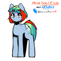 Size: 2400x2400 | Tagged: safe, artist:nova19, derpibooru import, oc, oc only, oc:nova sacrifice, pegasus, pony, pegasus oc, reference sheet, simple background, smol, solo, white background