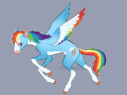 Size: 2724x2037 | Tagged: safe, artist:psychoyamada, derpibooru import, rainbow dash, pegasus, pony, alternate color palette, coat markings, cutie mark, female, gray background, mare, simple background, smiling, socks (coat marking), solo, spread wings, white outline, wings