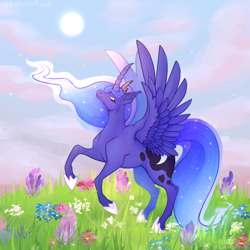 Size: 640x640 | Tagged: safe, artist:kokorokinda, derpibooru import, princess luna, alicorn, alternate versions at source, clothes, cloud, crown, ethereal mane, female, flower, grass, jewelry, mare, reddit, regalia, shoes, solo, solo female, sun