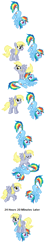 Size: 198x1054 | Tagged: safe, derpibooru import, derpy hooves, rainbow dash, pegasus, pony, comic, flying, picture for breezies, simple background, text, wat, white background