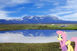 Size: 1600x1067 | Tagged: safe, artist:jaredking779, artist:luckreza8, derpibooru import, fluttershy, pegasus, pony, clothes, earmuffs, female, iceland, irl, mare, mountain, mountain range, photo, ponies in real life, solo, sweater