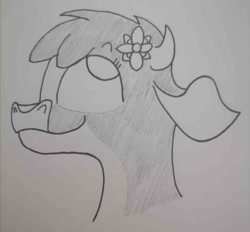 Size: 1500x1390 | Tagged: safe, artist:spoopygirl, derpibooru import, arizona cow, cow, them's fightin' herds, community related, flower, flower in hair, lineart, pencil shading, shading, traditional art