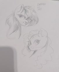 Size: 875x1080 | Tagged: safe, artist:ske, derpibooru import, pinkie pie, earth pony, pony, sketch, solo, traditional art