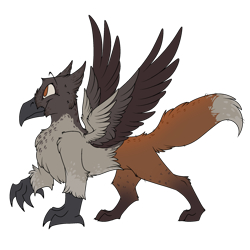 Size: 2100x2100 | Tagged: safe, artist:molars, derpibooru import, oc, oc only, oc:keepers, bird, fox, griffon, character design, claws, corvid, fox tail, magpie, orange eyes, orange fur, reference sheet, simple background, solo, spread wings, tail, talons, transparent background, wings