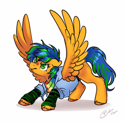 Size: 3000x3000 | Tagged: safe, artist:opalacorn, derpibooru import, oc, oc only, pegasus, pony, clothes, hoodie, simple background, solo, spread wings, white background, wings