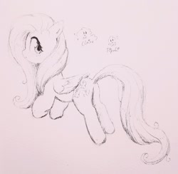 Size: 2048x2002 | Tagged: safe, artist:fipoki, derpibooru import, fluttershy, pegasus, pony, butt, cute, flutterbutt, looking back, monochrome, plot, shyabetes, simple background, sketch, solo