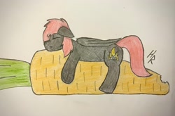 Size: 3750x2470 | Tagged: safe, artist:hardrock, derpibooru import, oc, oc:rosetta hask, pegasus, pony, carrot, food, pencil drawing, sleeping, solo, traditional art