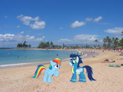 Size: 1600x1200 | Tagged: safe, artist:frownfactory, artist:sairoch, derpibooru import, rainbow dash, soarin', pegasus, pony, beach, clothes, female, goggles, hawaii, honolulu, irl, male, mare, photo, ponies in real life, shipping, soarindash, stallion, story included, straight, uniform, wonderbolts uniform
