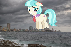 Size: 2048x1367 | Tagged: safe, artist:dashiesparkle, derpibooru import, coco pommel, earth pony, pony, blushing, cocobetes, cuba, cute, ears, female, floppy ears, giant pony, giant/macro earth pony, giant/mega coco pommel, giantess, grin, havana, highrise ponies, irl, macro, mare, mega giant, photo, ponies in real life, smiling, solo