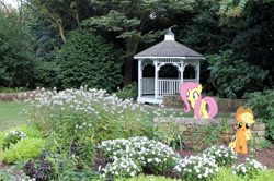 Size: 1023x679 | Tagged: safe, artist:thatguy1945, artist:uponia, derpibooru import, applejack, fluttershy, earth pony, pegasus, pony, cowboy hat, female, garden, gazebo, hat, irl, mare, north carolina, photo, ponies in real life, raleigh, stetson