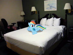 Size: 2937x2203 | Tagged: safe, artist:dashiesparkle, derpibooru import, rainbow dash, pegasus, pony, augusta, bed, female, high res, irl, lying down, maine, mare, photo, pillow, ponies in real life, prone, smiling