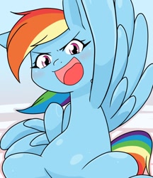 Size: 640x740 | Tagged: safe, artist:batipin, derpibooru import, rainbow dash, pegasus, pony, eyebrows, female, looking at you, mare, open mouth, open smile, smiling, smiling at you, solo, spread wings, wings