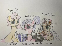 Size: 692x519 | Tagged: safe, artist:carty, derpibooru import, oc, oc only, oc:aspen spots, oc:caberneigh, oc:donut daydream, oc:eclair, oc:odiferous sukanku, oc:rosé blush, traditional art