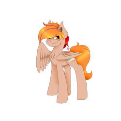 Size: 800x800 | Tagged: safe, artist:kapai882, artist:kathe, derpibooru import, oc, oc only, oc:fededash, pegasus, chest fluff, simple background, solo, transparent background