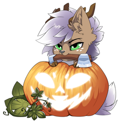 Size: 1500x1511 | Tagged: safe, alternate version, artist:arctic-fox, derpibooru import, part of a set, oc, oc only, deer, pony, alternate character, commission, deer oc, mouth hold, non-pony oc, pumpkin, simple background, solo, transparent background, ych result