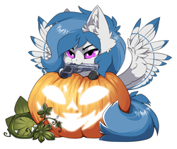 Size: 1500x1261 | Tagged: safe, alternate version, artist:arctic-fox, derpibooru import, part of a set, oc, oc only, oc:delta dart, pegasus, pony, alternate character, commission, mouth hold, pumpkin, simple background, solo, transparent background, ych result