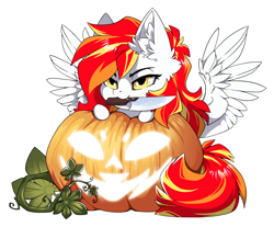 Size: 1500x1239 | Tagged: safe, alternate version, artist:arctic-fox, derpibooru import, part of a set, oc, oc only, oc:diamond sun, pegasus, pony, alternate character, commission, knife, mouth hold, pumpkin, simple background, solo, transparent background, ych result